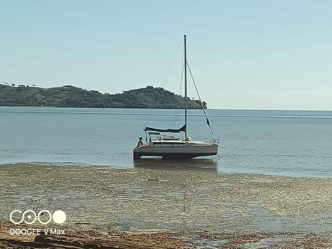 EDEL 35